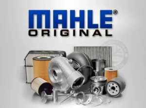 mahle