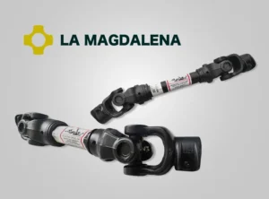 la magdalena