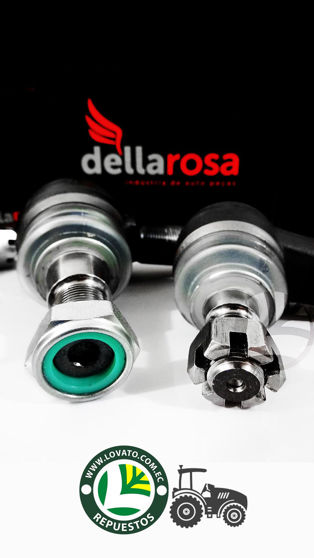 Dellarosa - Imagen 4